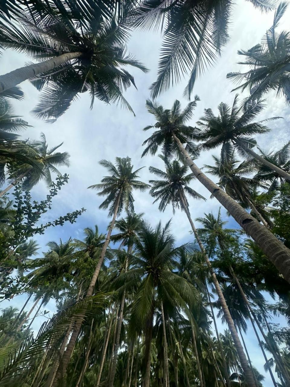 Efrena Agro Tourism Beach El Nido Exterior photo