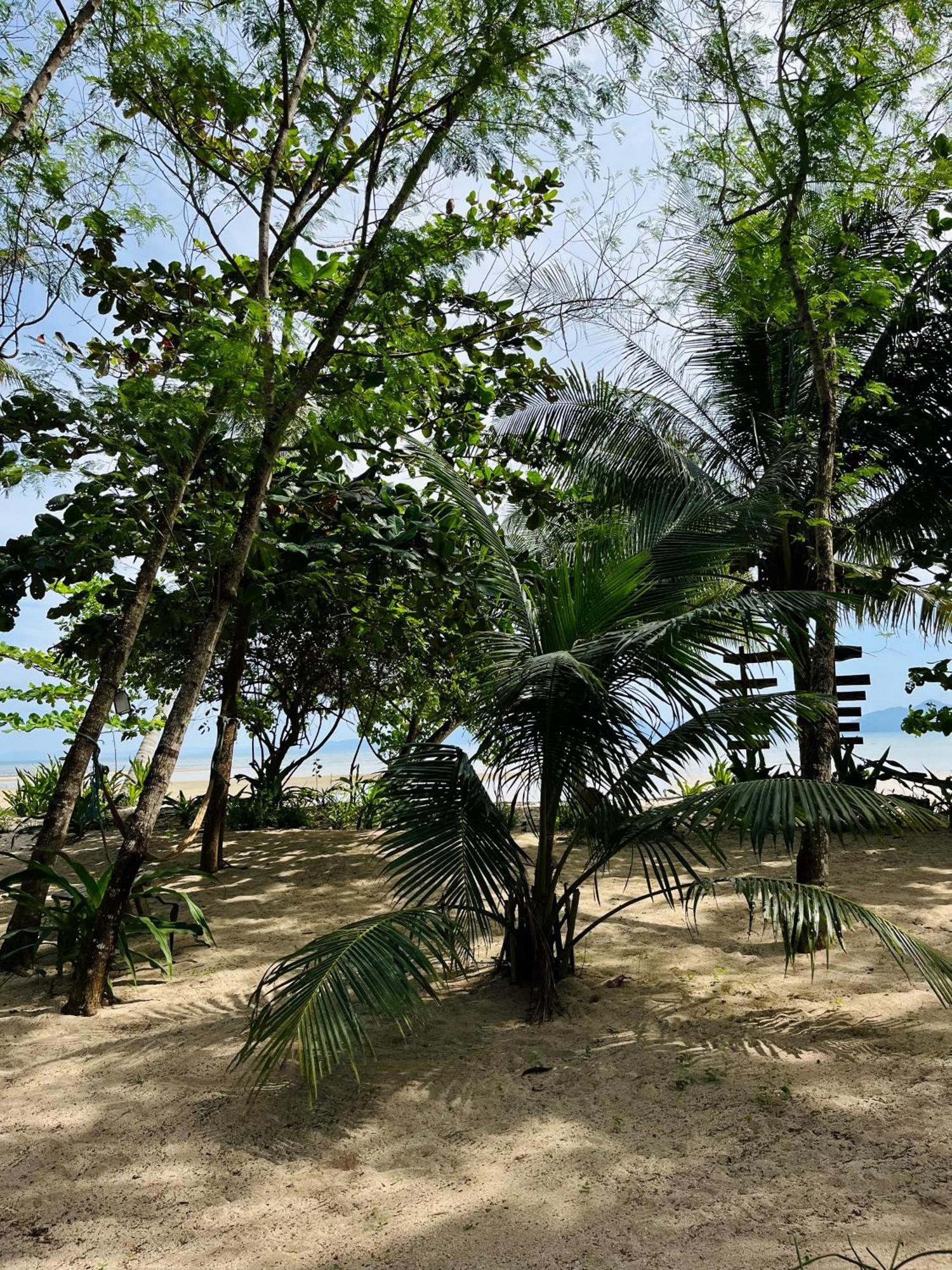 Efrena Agro Tourism Beach El Nido Exterior photo